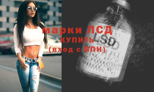 тгк Алзамай