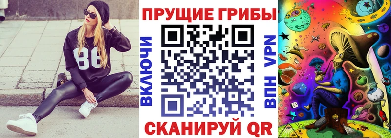 магазин продажи наркотиков Анжеро-Судженск Галлюциногенные грибы Magic Shrooms